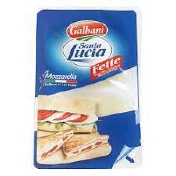 GALBANI mozzarella plakken 1 KG 1 KG