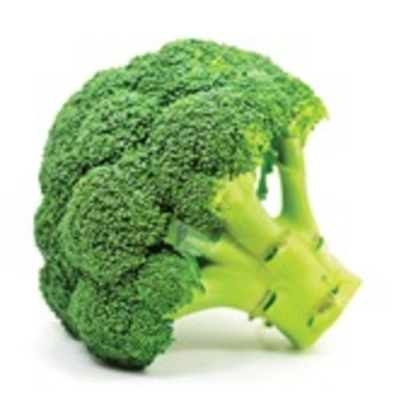 broccoli bio 350 GR