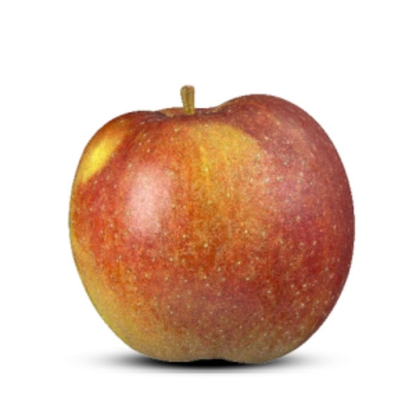 AGF appel goudrenet gelegd 1 KG