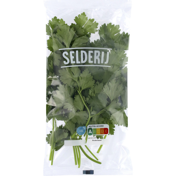 AGF selderij 40 GR